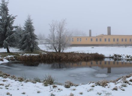 Prirodni-nadrz-Fojtovice 1