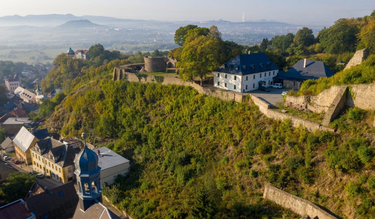 hrad krupka_nálety dřevin